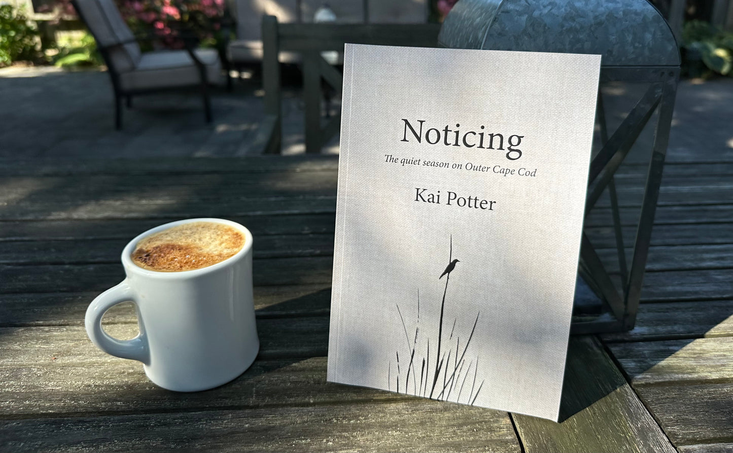 Noticing