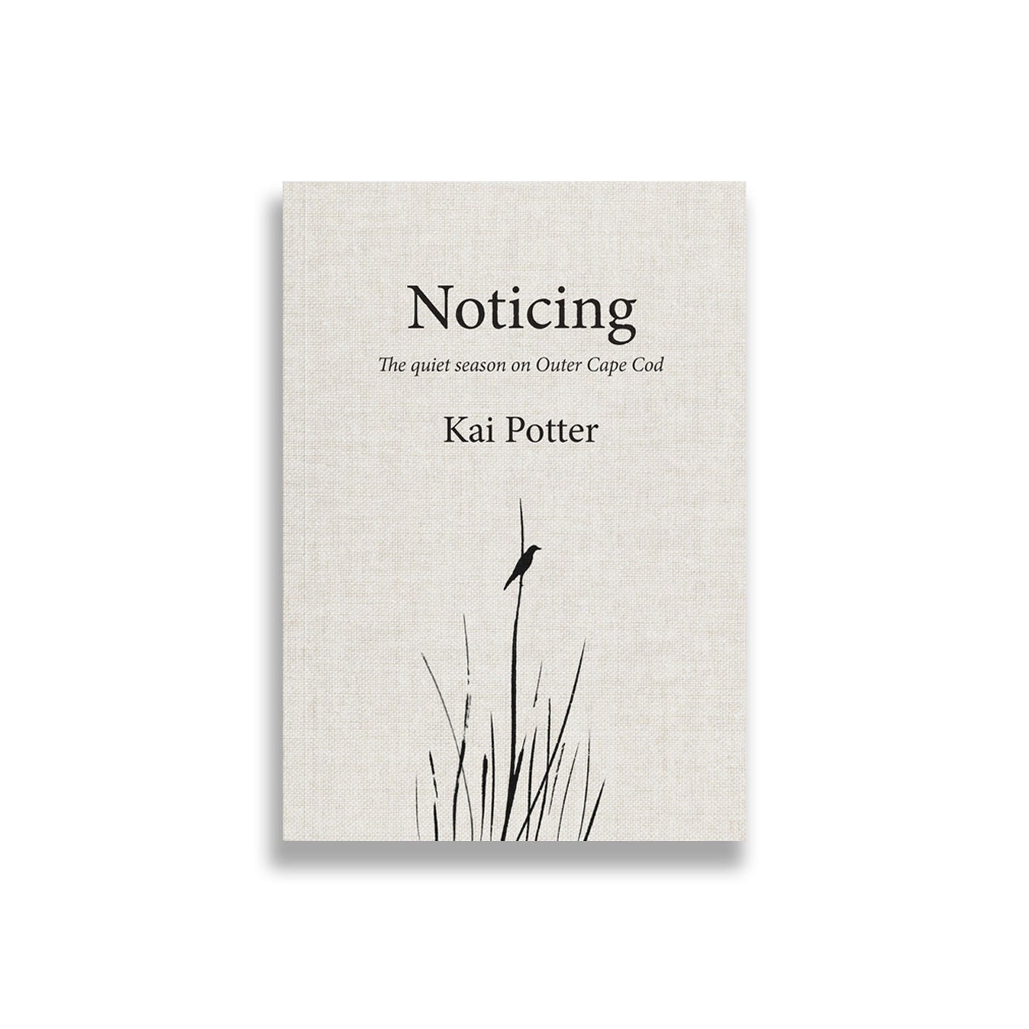 Noticing