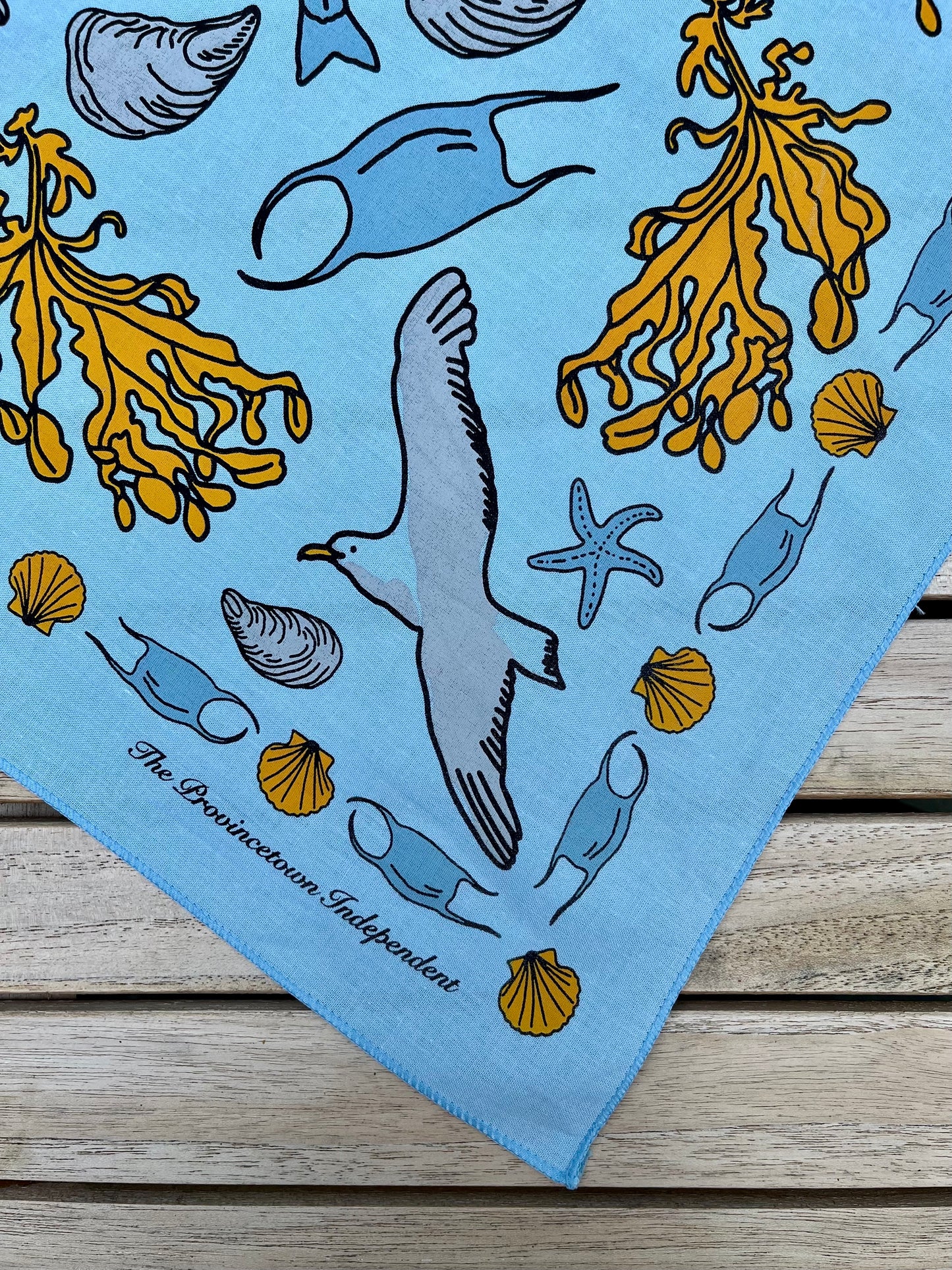 Wrack Line Bandana by Antonia DaSilva