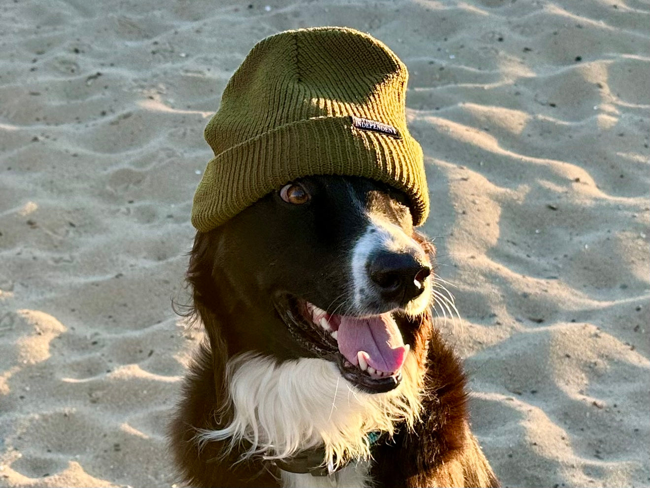 Olive Drab Beanie